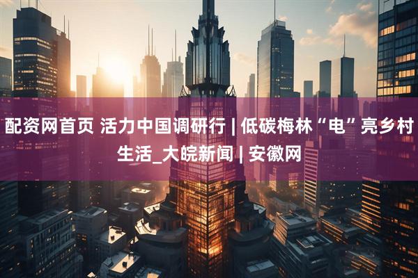 配资网首页 活力中国调研行 | 低碳梅林“电”亮乡村生活_大皖新闻 | 安徽网