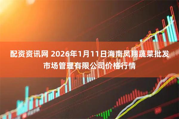 配资资讯网 2026年1月11日海南凤翔蔬菜批发市场管理有限公司价格行情